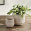 Cache pot Guillermo Rattan-395395346