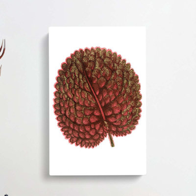 Plant Leaf - Wrapped Canvas Painting