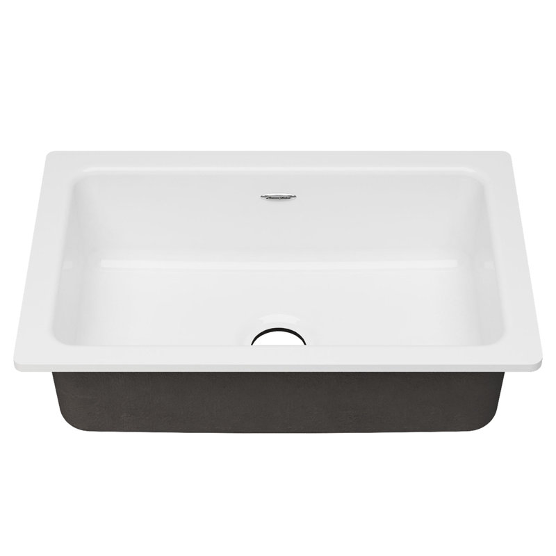 Delancey 30'' White Cast Iron Drop-In Farmhouse Sink