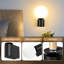 Shalesha 1-Light Black Armed Sconce