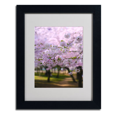 "DC 2" by CATeyes Framed Photographic Print