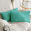 Ensemble de 2 housses de coussins décoratifs en velours luxueux pour la collection de 1 lit double-91942933-98421595