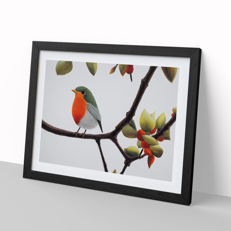 Captivating Robin Bird - Framed Print, Black, 25cm H x 34cm W x 2cm D