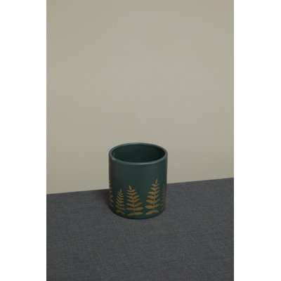 Midwinter Fern Pot 5.25"x 4.75"
