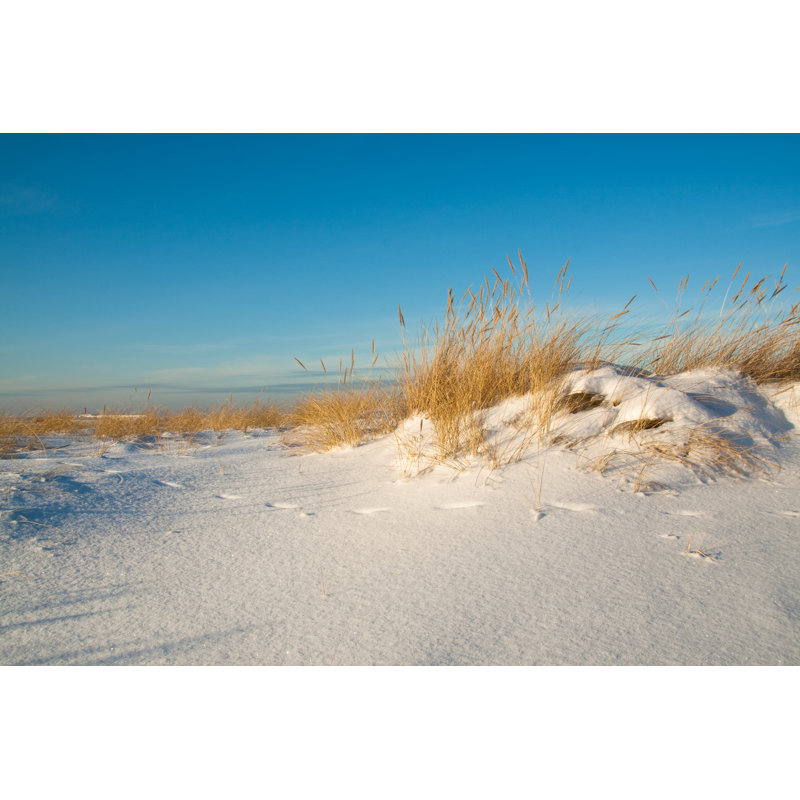 Sea Dunes by Jevgenijs - Wrapped Canvas Print, 81cm H x 122cm W