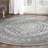 Amedee Performance Oriental Rug-1767063083