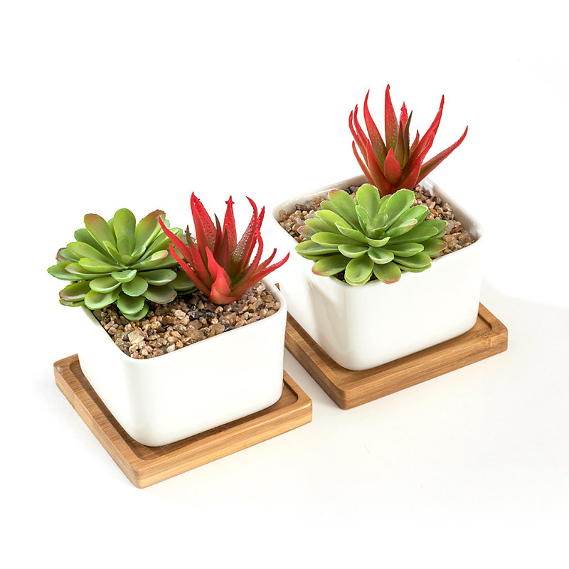 Helai Ceramic Pot Planter