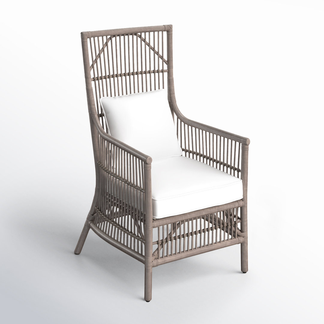 Barkley Rattan Armchair Birch Lane™ Frame 
