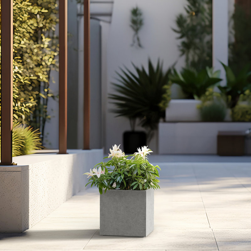 Boîte à fleurs en béton Redegonda, H 10 po x l 10 po x P 10 po, Finition pierre