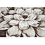 Tapis botanique à motif floral rose Burbach-882352125