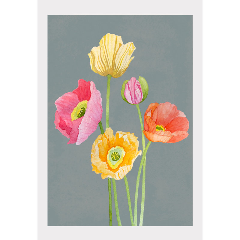 Plants & Flowers, 19" H x 13" W