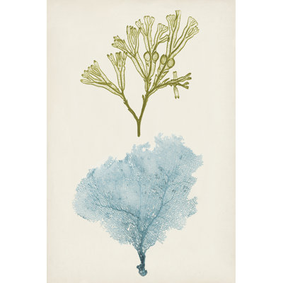 Aqua And Citron Coral II - Painting on Canvas