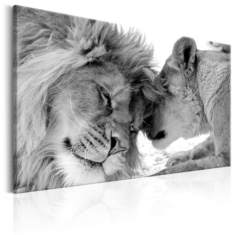 Amour du lion Starcher, H 16 po x l 24 po x P 0,7 po