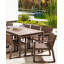 Caron Patio Dining Armchair