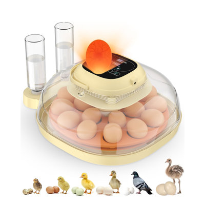 Egg Incubator