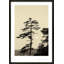 Serenity Print by Peter Dušek-560221192-560221193