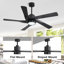 Ventilateur de plafond intérieur avec lumière et télécommande-821444180-814031641-821444182