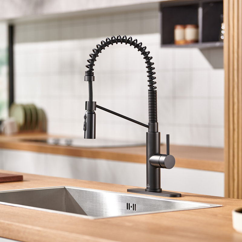 Robinet de cuisine à bec rétractable à ressort 1,8 GPM avec plaque de pont Bolden, Noir mat