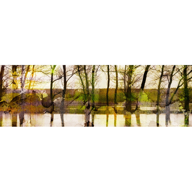 Parvez Taj - Wrapped Canvas Print, 25cm H x 76cm W x 4cm D