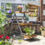 Rowlinson Alderley Plant Ladder-1062456613
