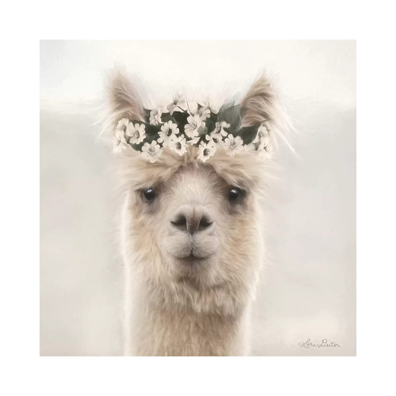 Alpaca With Flowers by Lori Deiter - Wrapped Canvas Print, 45.72 cm H x 45.72 cm W x 3.175 cm D