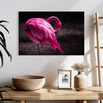 Brampt Beautiful Preening Flamingo