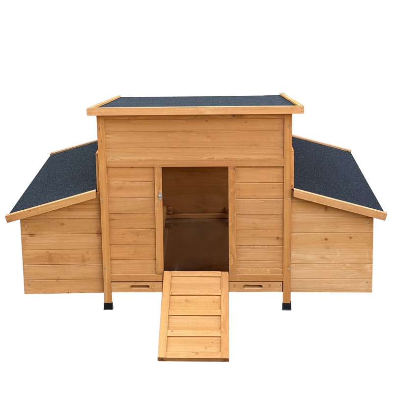 Cage à volaille extérieure en bois pour poulets de basse-cour avec nichoirs