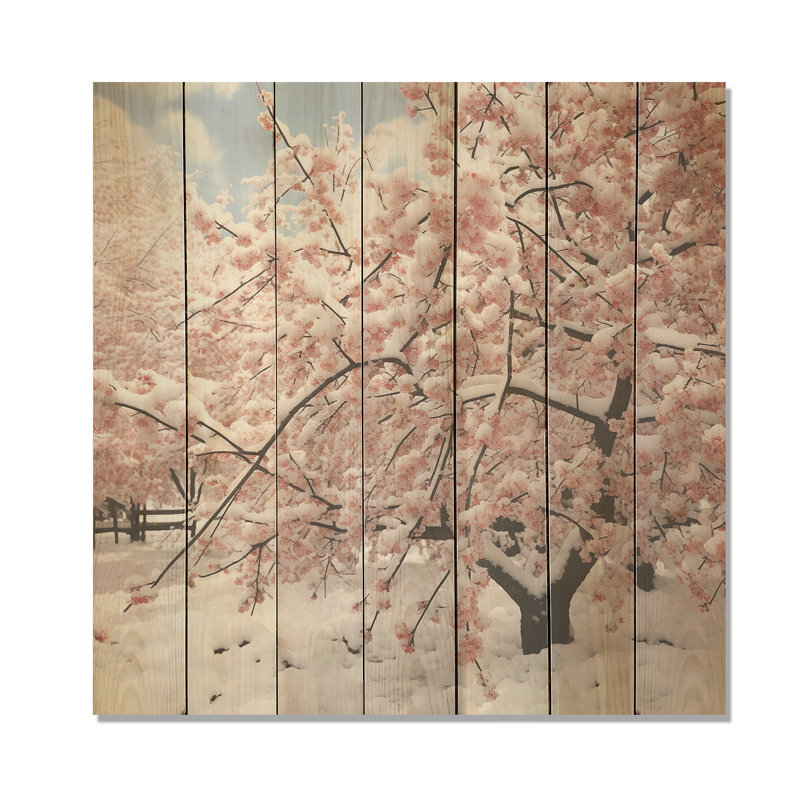 Neige hivernale sur un cerisier en fleurs rose - fleur de cerisier sur bois, H 36 po x l 36 po