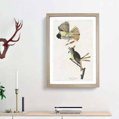 Great Crested Flycatcher Birds by John Audubon - Picture Frame Painting Print