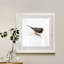 Mixed signaux IV-reproduction d’art sur papier encadrée-925224894-925224889