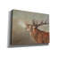 Art mural sur toile, "Red Deer Stag2" par David Stribble-41176515