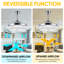 Arlicia 42'' Ceiling Fan with LED Lights