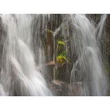 Paradise Falls 1 Print by Bruce Heinemann