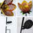 Solar Powered Integrated Led Metal Pathway Light