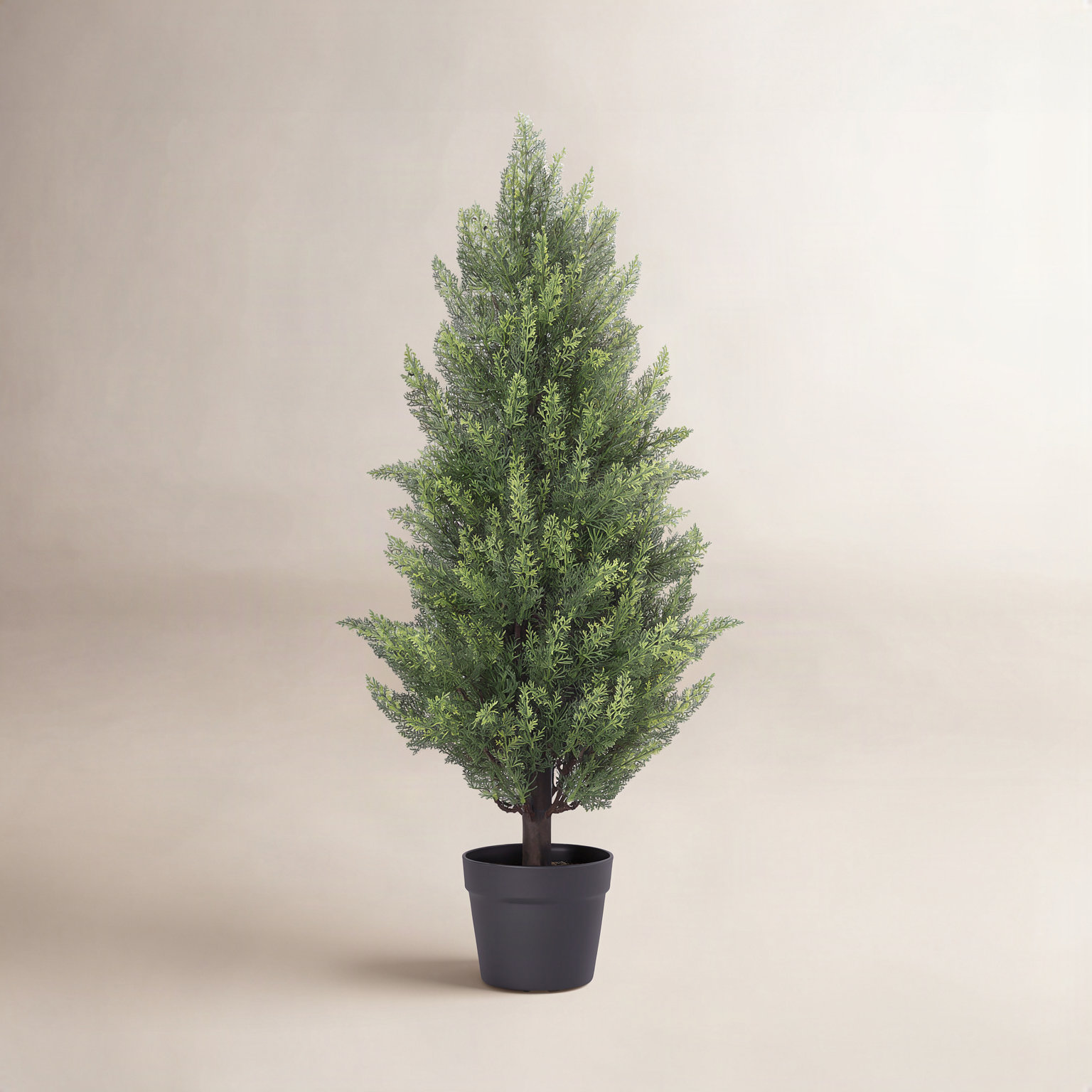 Cedar Topiary in Pot, 36" H x 12" W x 12" D