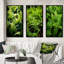 «Green Fern Fond», 3 pièces sur toile-1781112118-1781112119