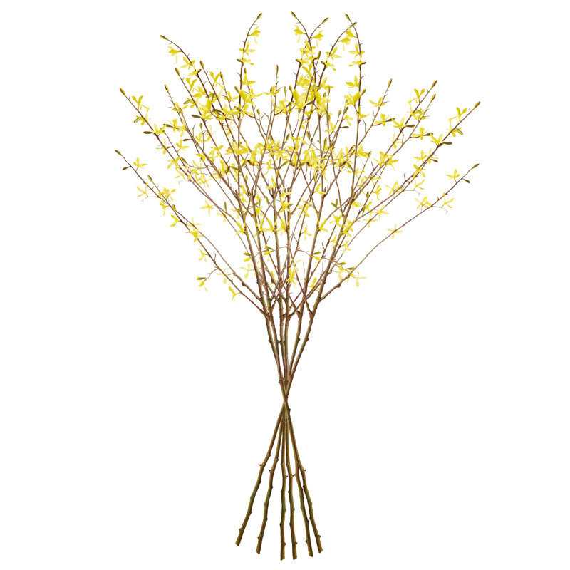 FORSYTHIA STEMS 47 ", ENSEMBLE DE 6