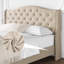 Structure de lit plateforme en velours avec base de lit et tête de lit tapissier-107650430-107650432