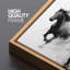 Chevaux qui courent-111176113-98042046
