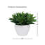 Agave 14 po en céramique blanc brillant-688950797