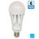 Equivalent E26/Medium (Standard) 5000K LED Bulb