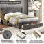 Dowler Upholstered Storage Bed-1515204509