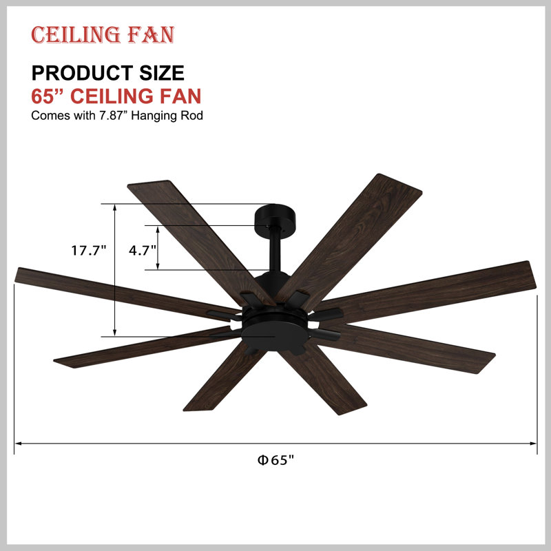 Ceiling Fan