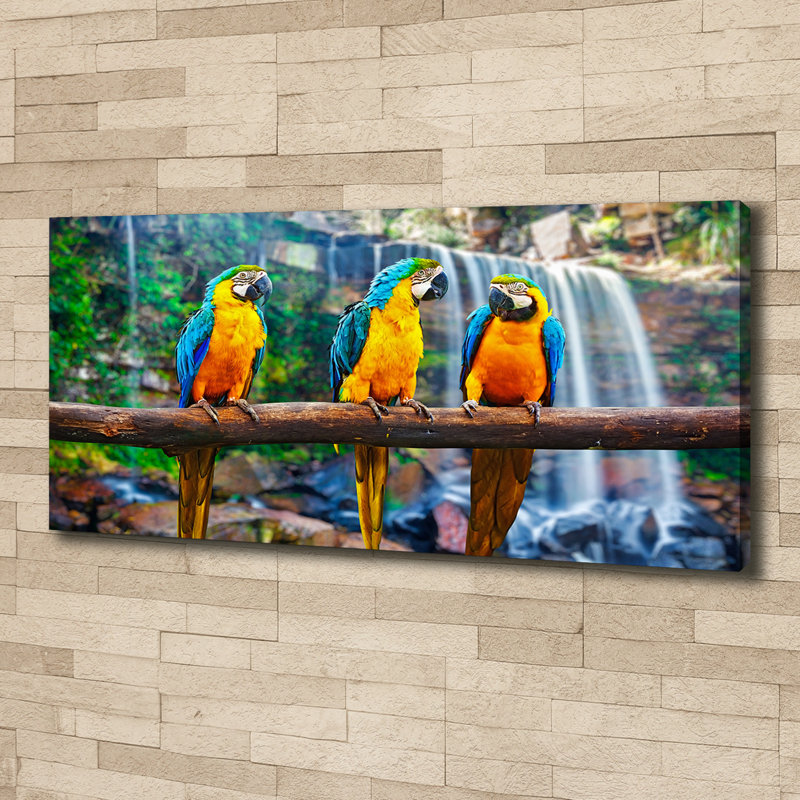 Parrots On The Branch - No Frame Print on Canvas