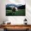 Vache curieuse Brampt-108726016
