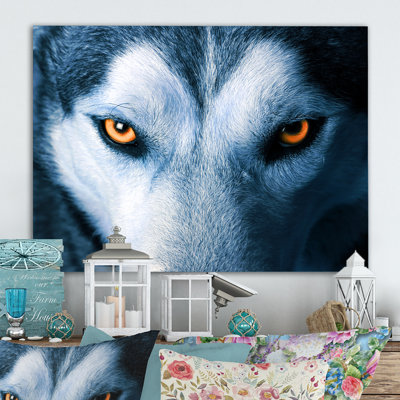 " Eyes Of Wolf " by Designart