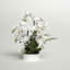 Arrangement floral orchidées dans un plat en céramique