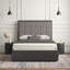 Eloise Upholstered Storage Bed-720831483