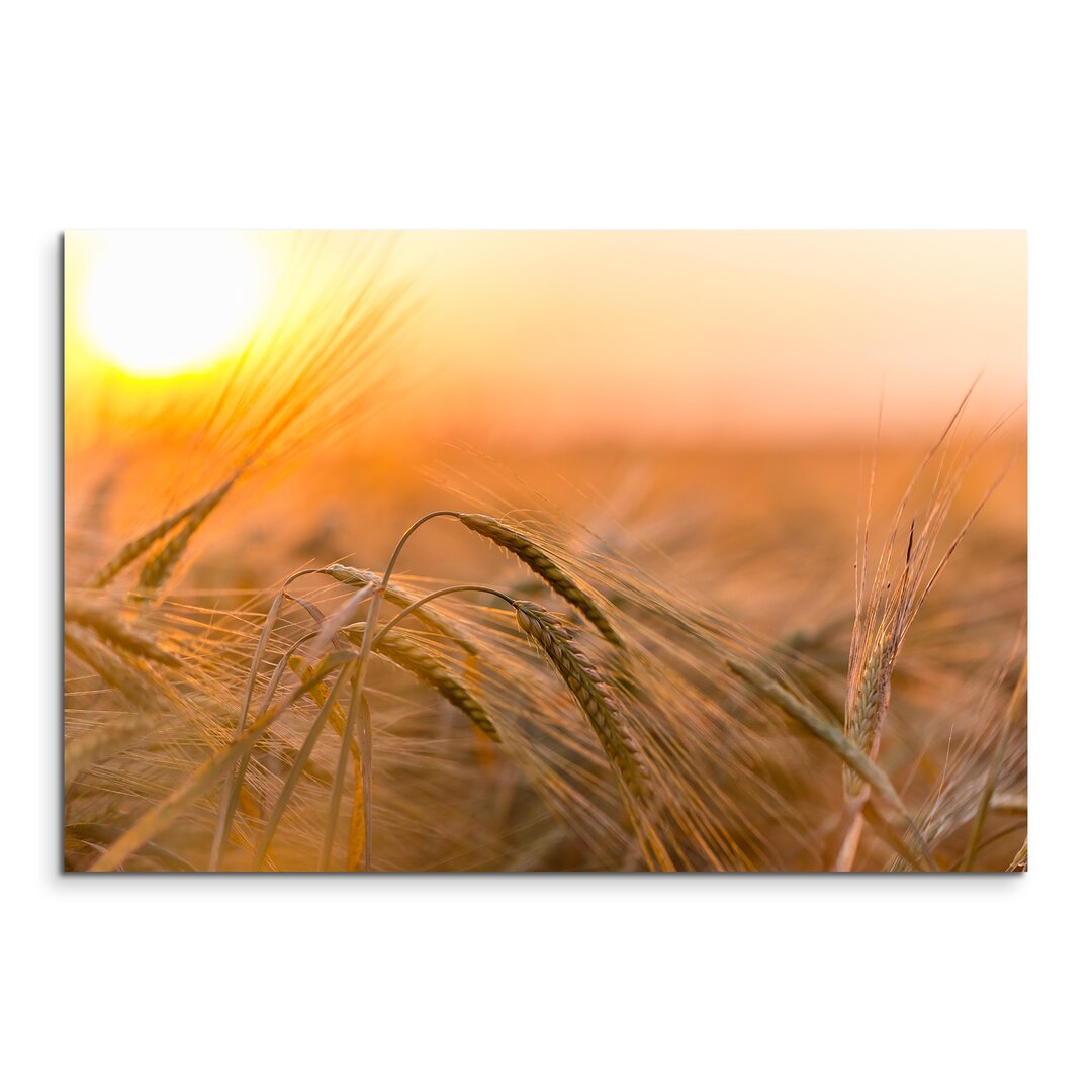 Gerahmtes Leinwandbild Goldenes Weizenfeld in der Sonne