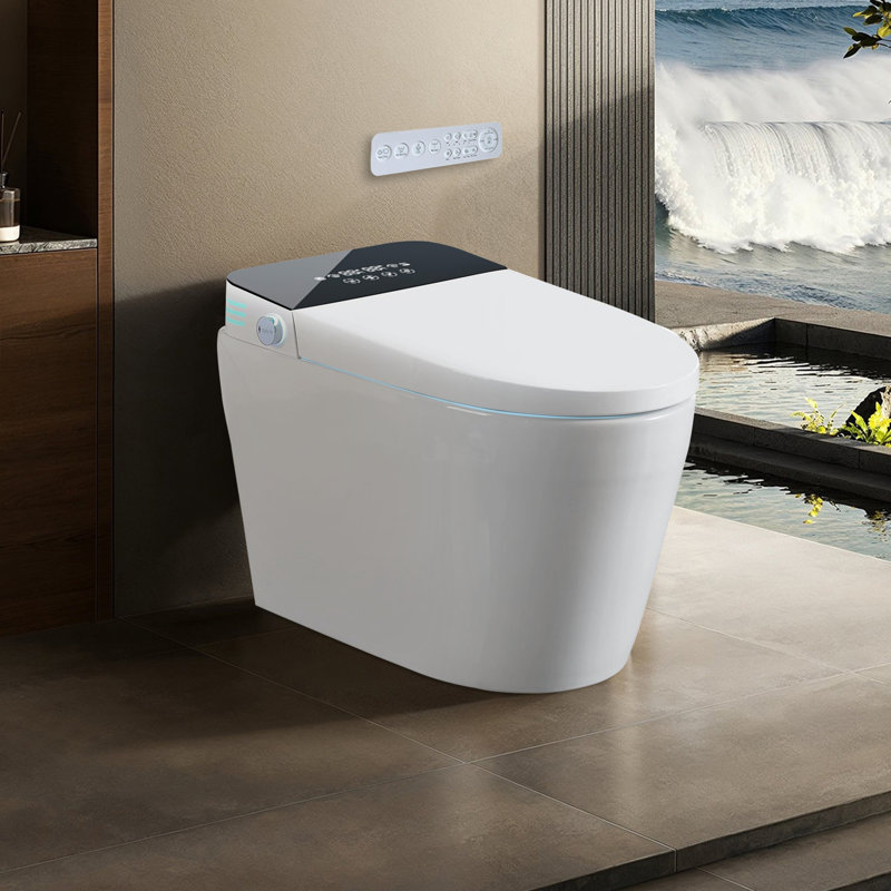 Tankless Smart Toilet With Bidet Built In, One-piece Bidet Toilet Seat, Auto Flush,Heated Seat, Warm Water and Dry, Adjustable Temp,Remote Control Side Know